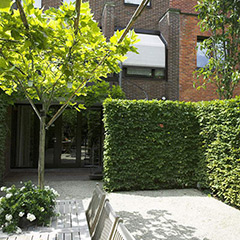 杭州現(xiàn)代風(fēng)格家庭小院4